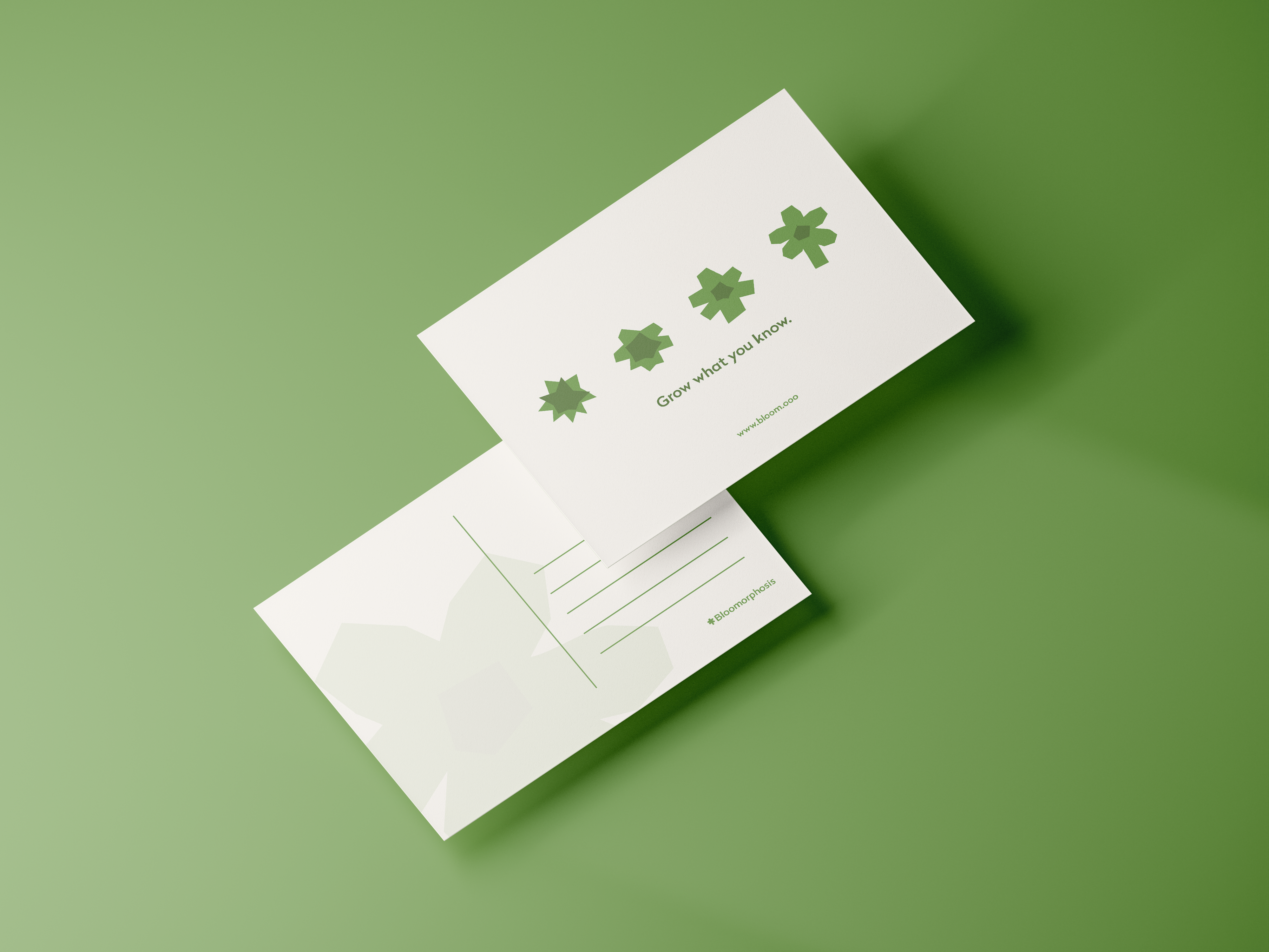 Bloomorphosis postcard