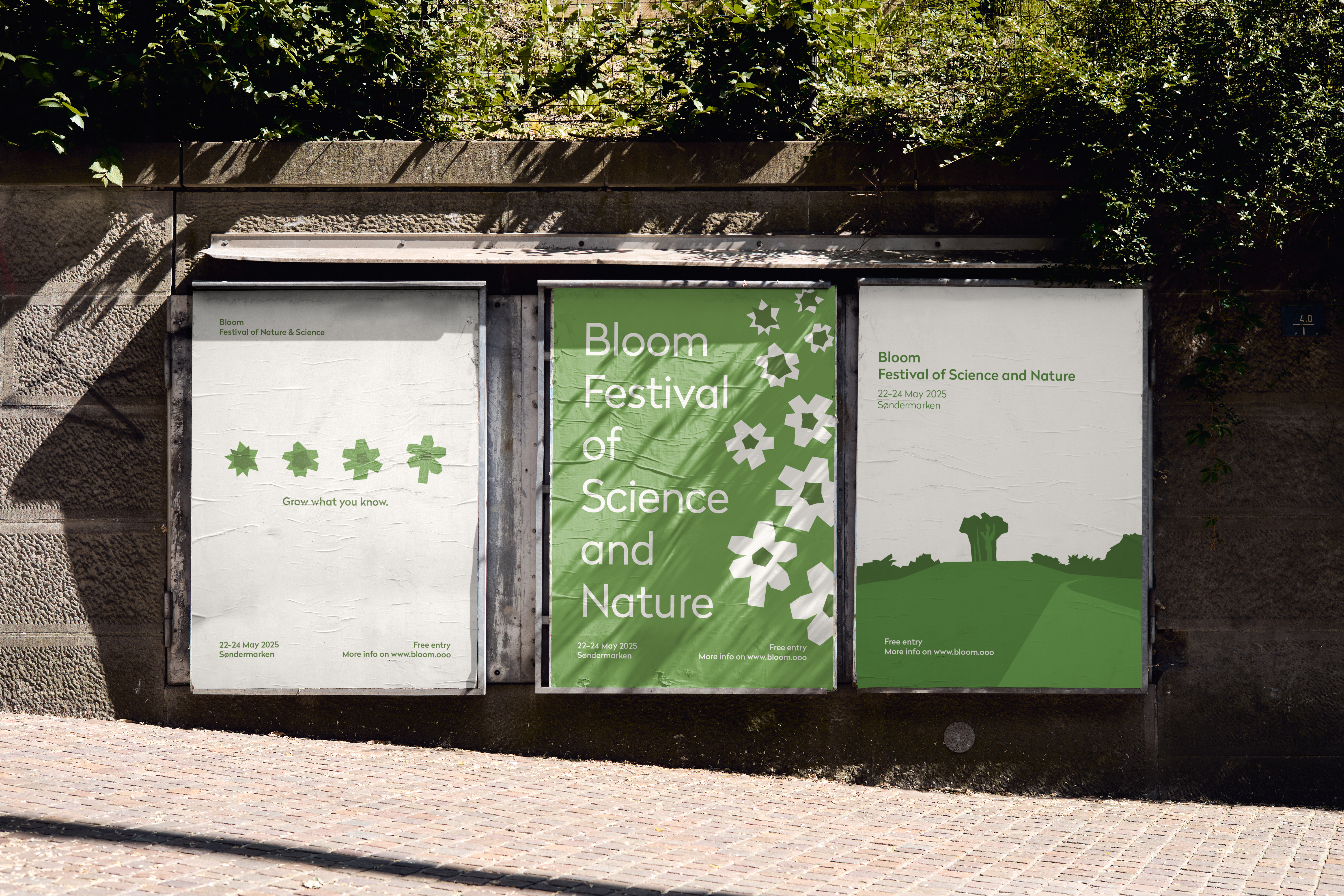 Bloomorphosis project