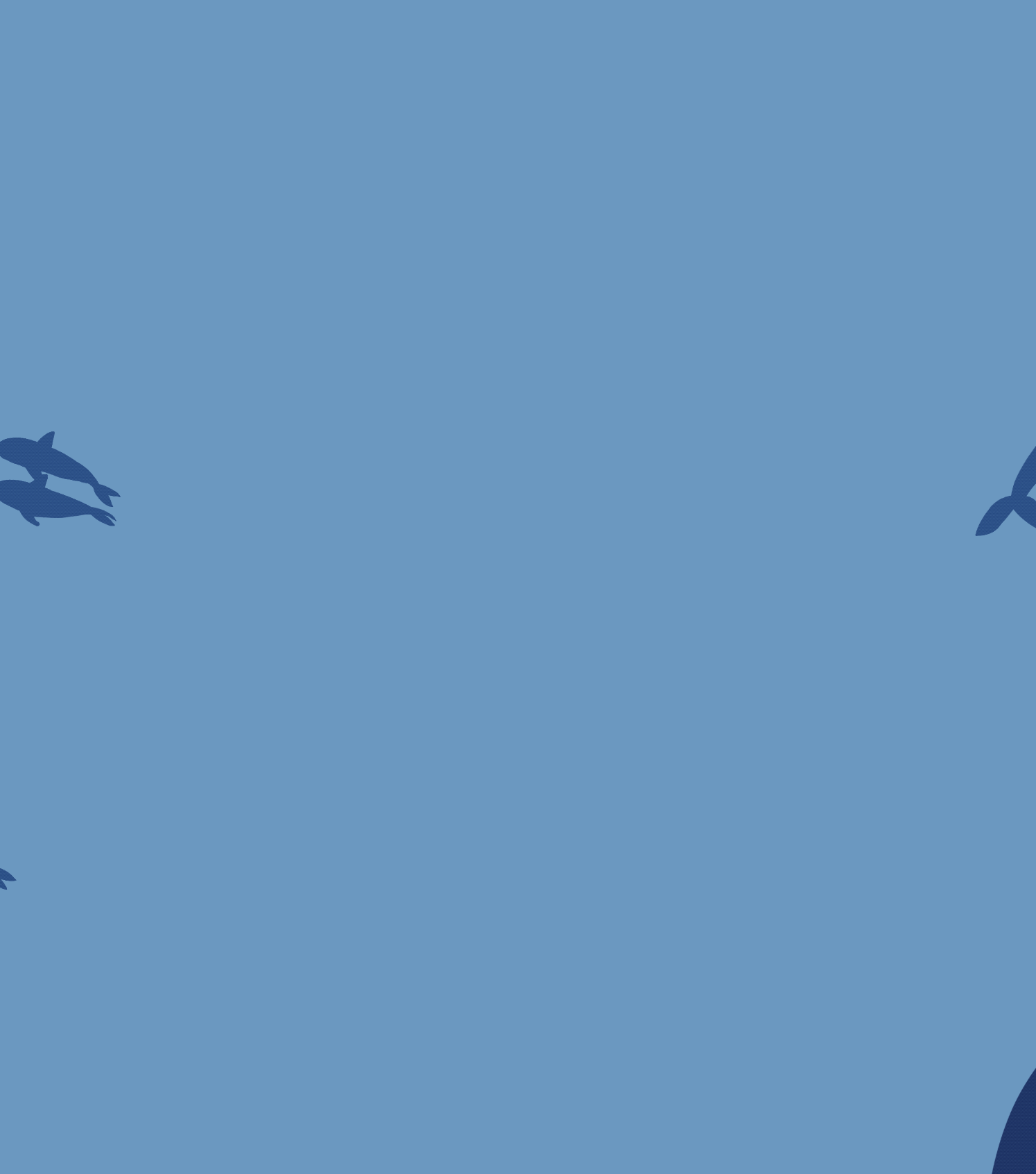 Ocean Conservancy Gala animation