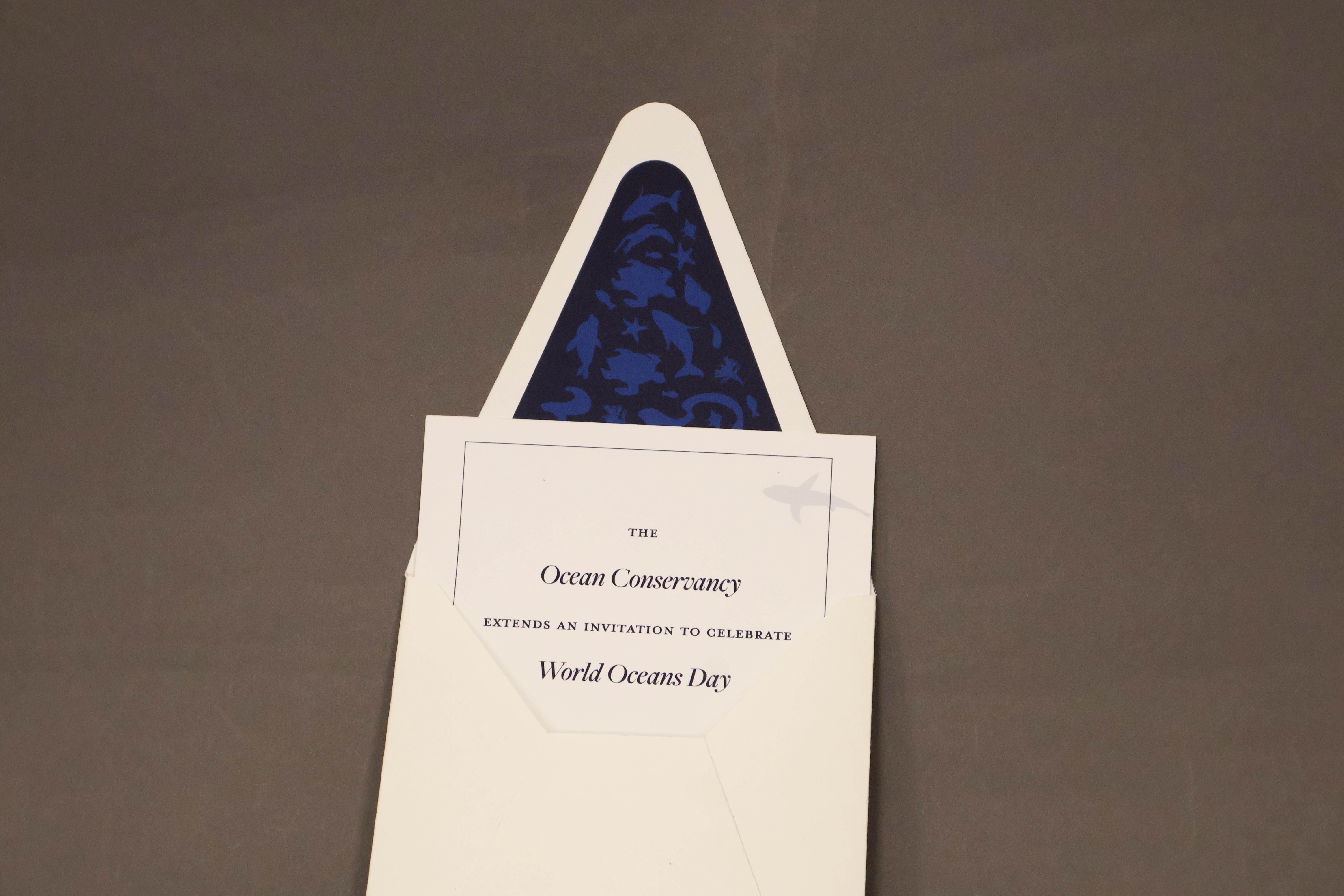 Ocean Conservancy envelope