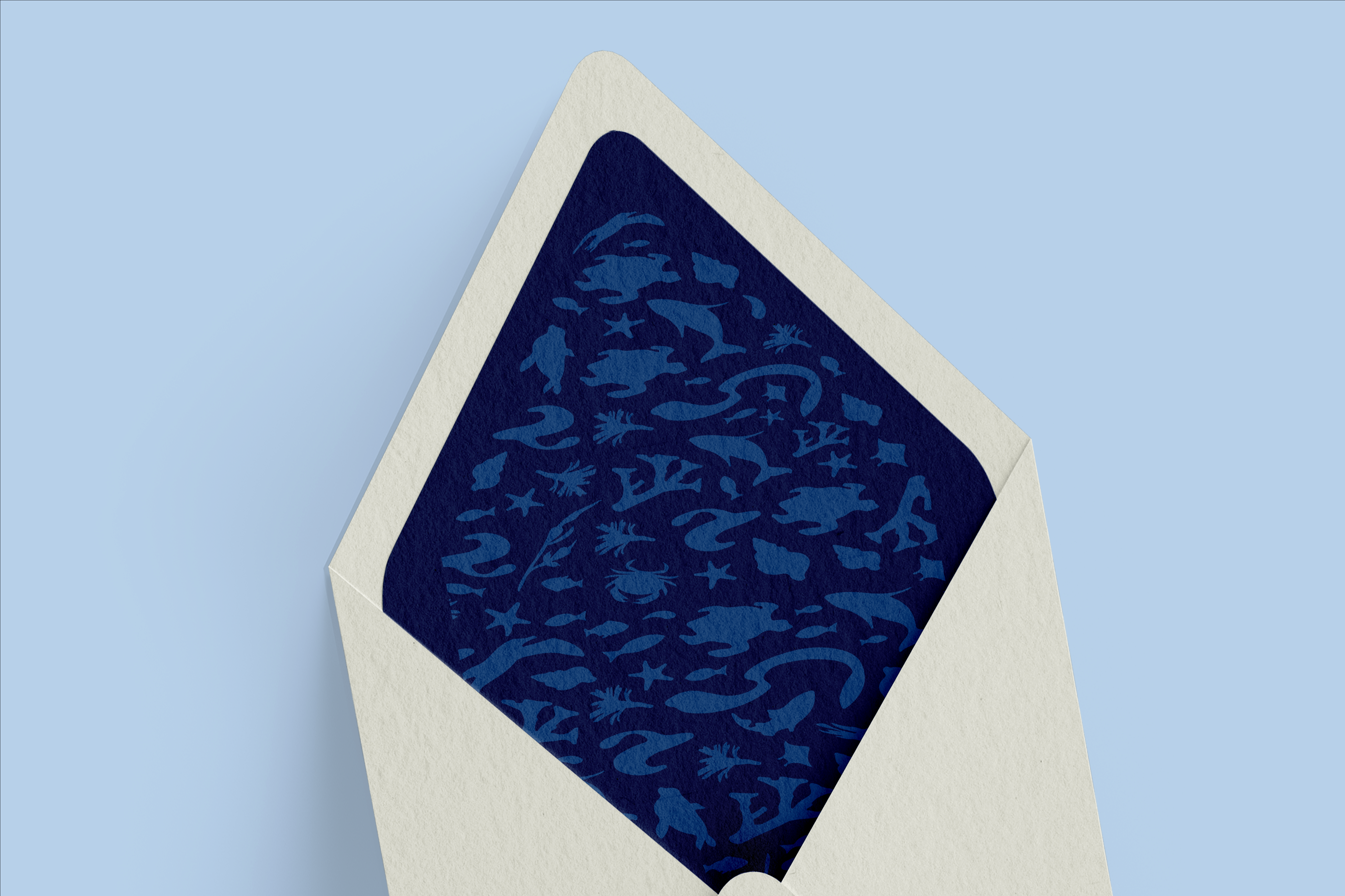 Ocean Conservancy envelope